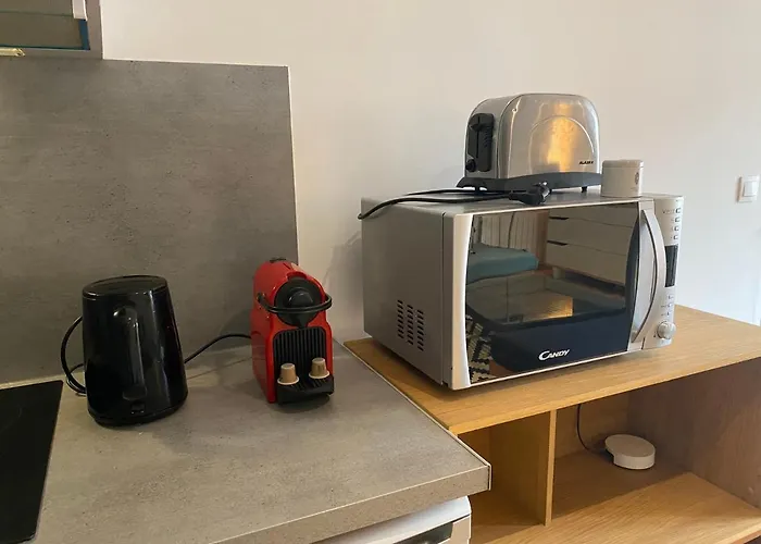 2 Pieces Cosy Gare شقة فندقية 3*